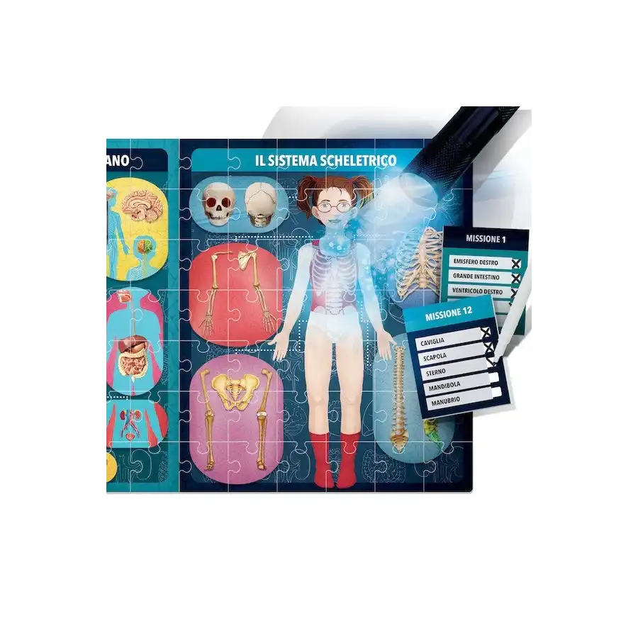 Il Corpo Umano a Raggi X Headu - 1