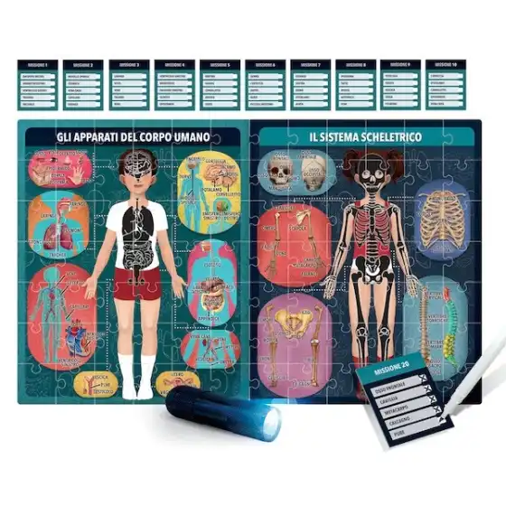 Il Corpo Umano a Raggi X Headu - 2