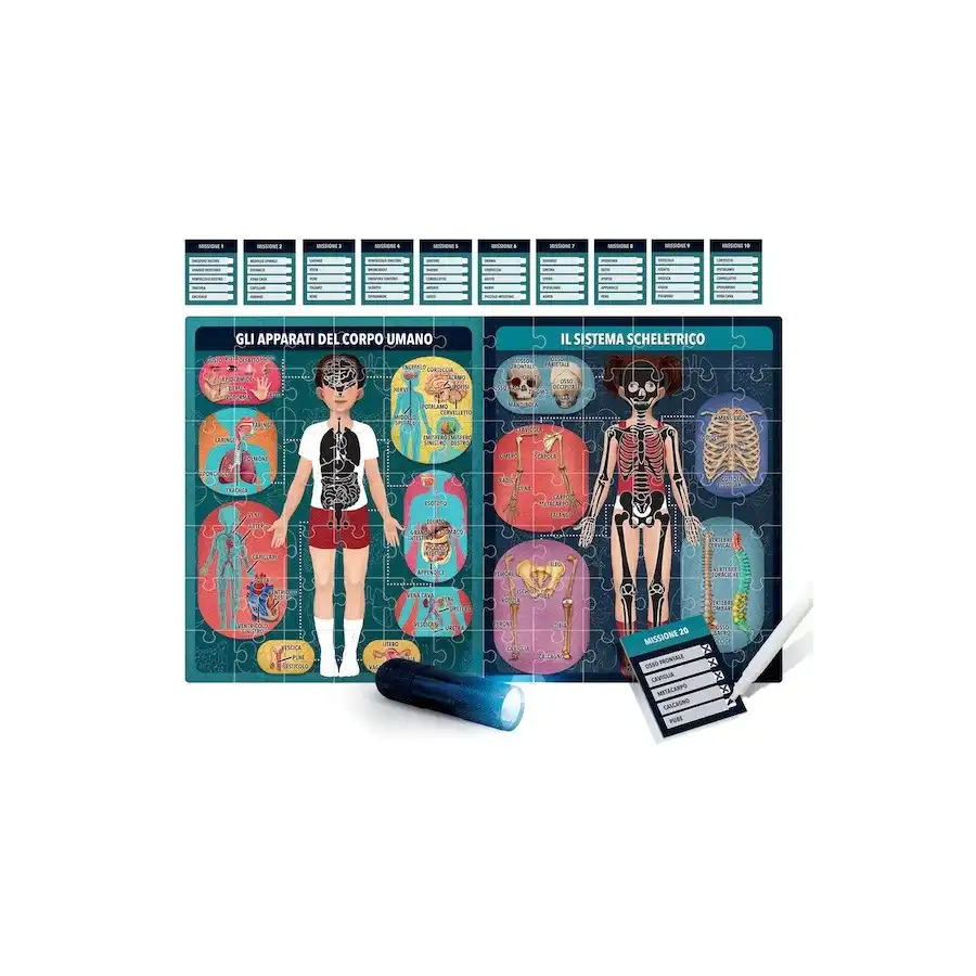 Il Corpo Umano a Raggi X Headu - 2