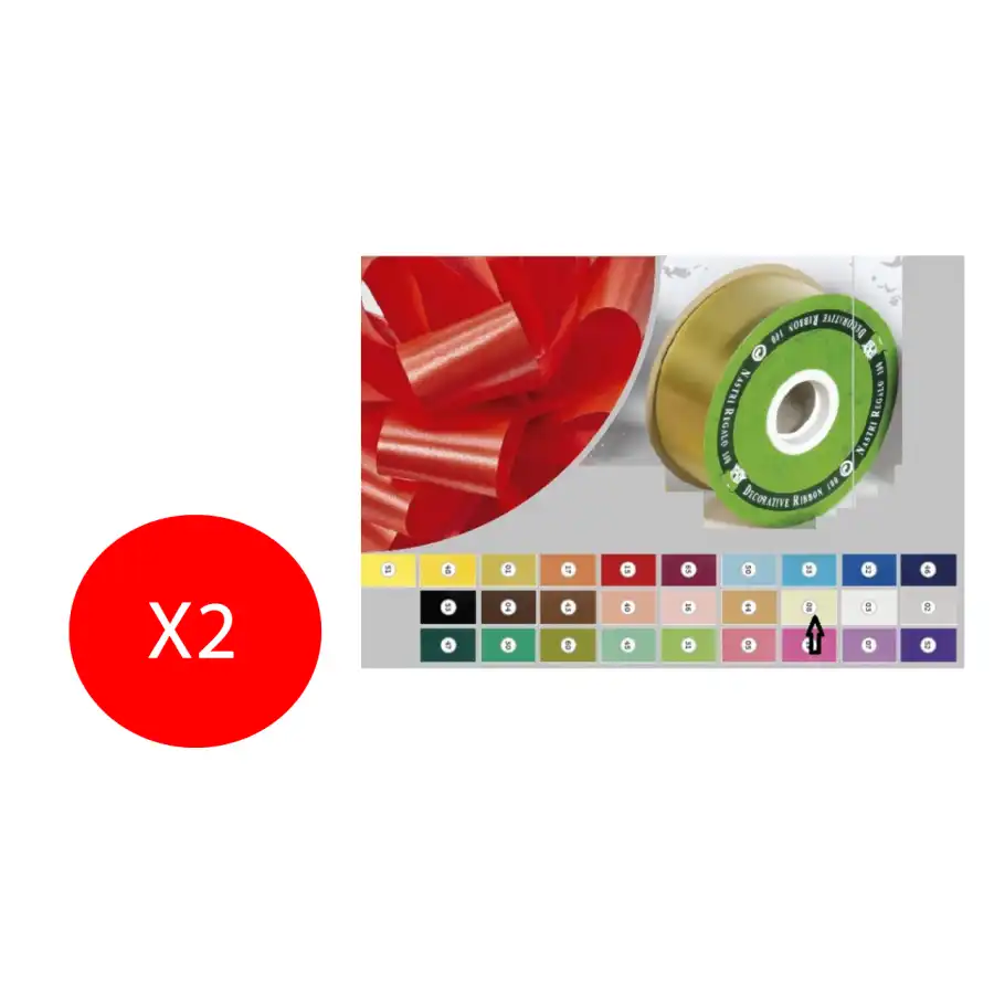 Inab Bobina Nastro Flock Diamant decorazione regalo color 31mm X 100m Osso 2 Pezzi Originale - 1