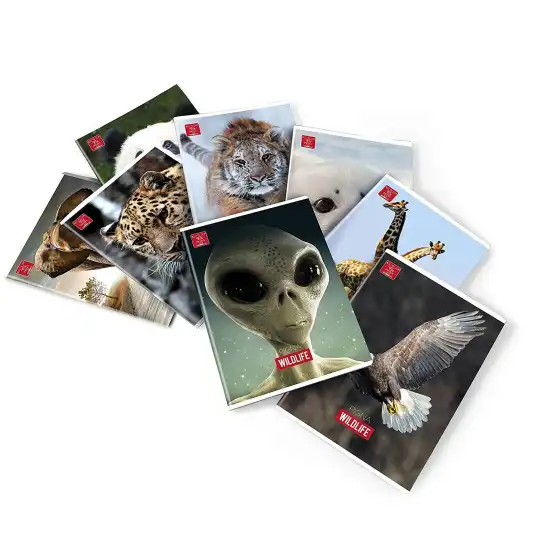 Maxi Quaderno Pigna Wildlife 02299170B - Rigatura B  Confezione 10 quaderni ass. Pigna - 1