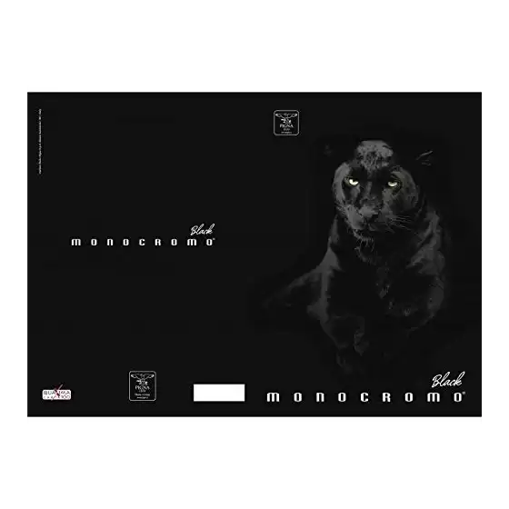 Maxi Quaderno Pigna Monocromo Black 02303371R - Rigatura 1R - Confezione 10 quaderni ass. Pigna - 3