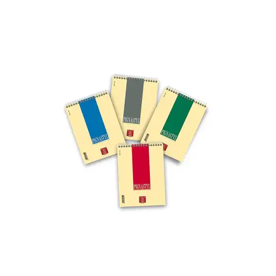 Blocchi spiralati Pigna Styl 0215627BI - Formato A5 - Fogli Bianchi - Colori ass. - Confezione 10 pz Pigna - 2