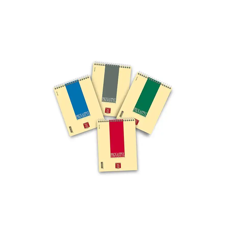Blocchi spiralati Pigna Styl 0215627BI - Formato A5 - Fogli Bianchi - Colori ass. - Confezione 10 pz Pigna - 2