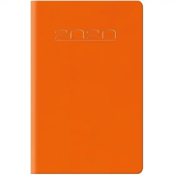 NotaBene Orange 2020 Daily Diary - 14.5 x 20.5cm NotaBene - 1