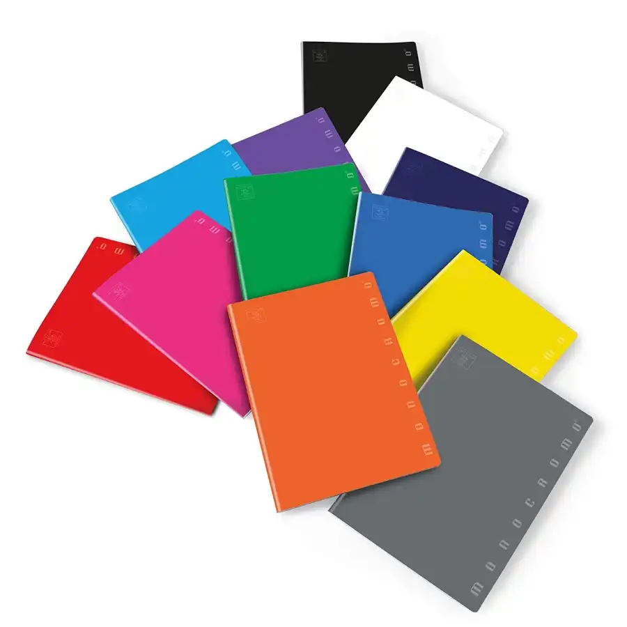 10 Quaderni Monocromo 02298871R Rigatura 1R Pigna - 1