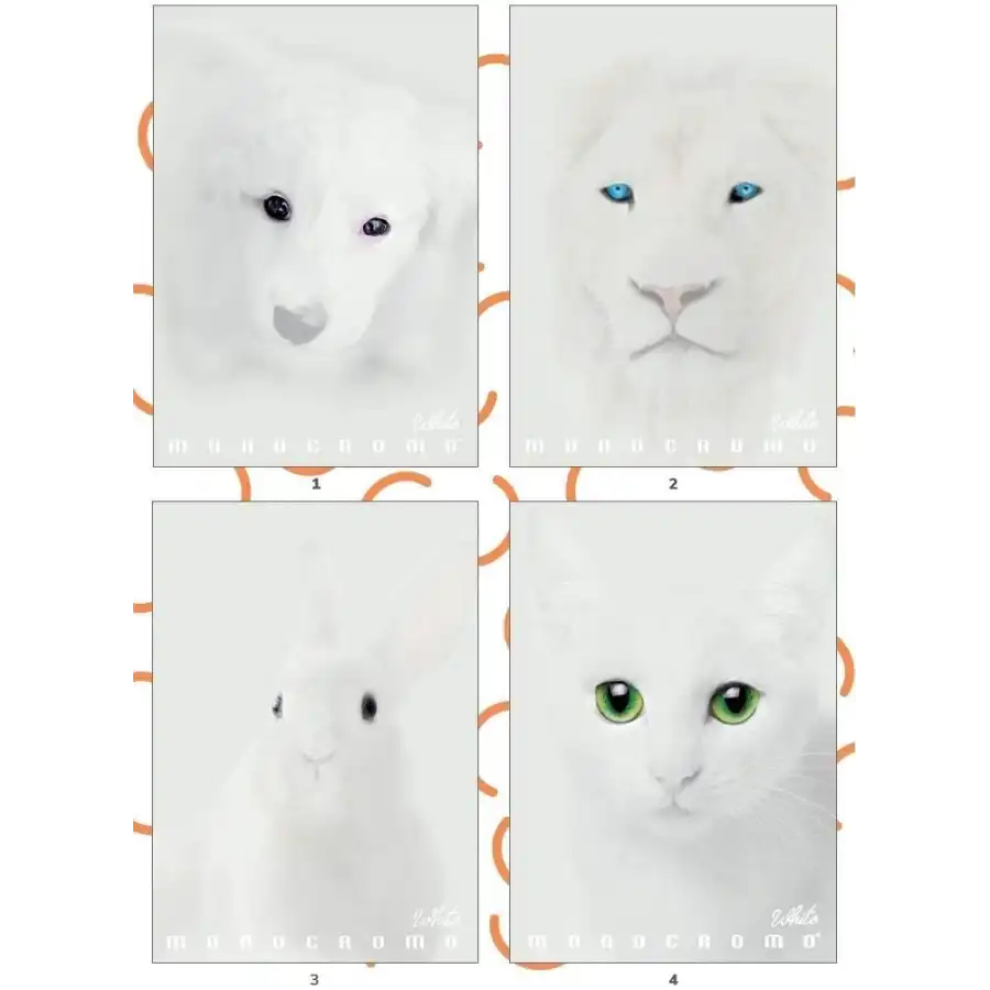 Pigna Monocromo White, Rigatura 4M Quaderno A4 Carta 100g/mq, Pacco da 10 Pezzi 02307914M Pigna - 1