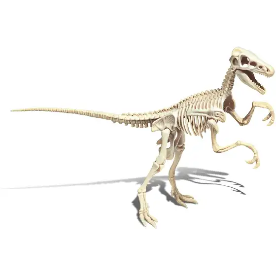 Archeogiocando Il Velociraptor 19144 Clementoni - 7
