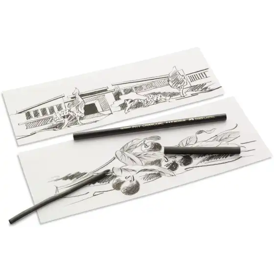 Carboncino Naturale 6-11mm Scatola 6 Pz 129398  Faber Castell - 4