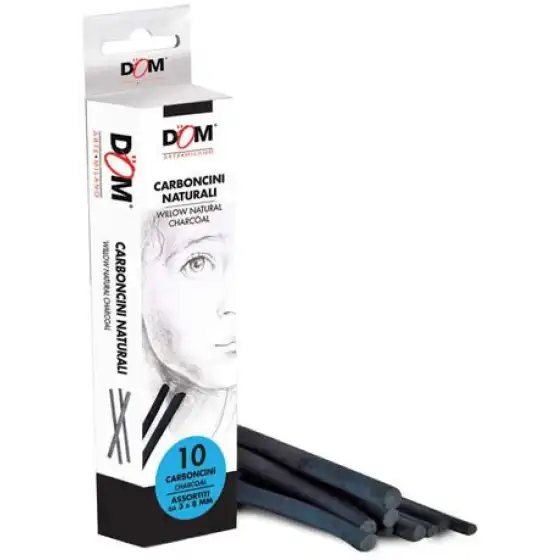 Carboncini Naturali Misure Assortite da 3mm a 8mm x 120mm CWR - 1