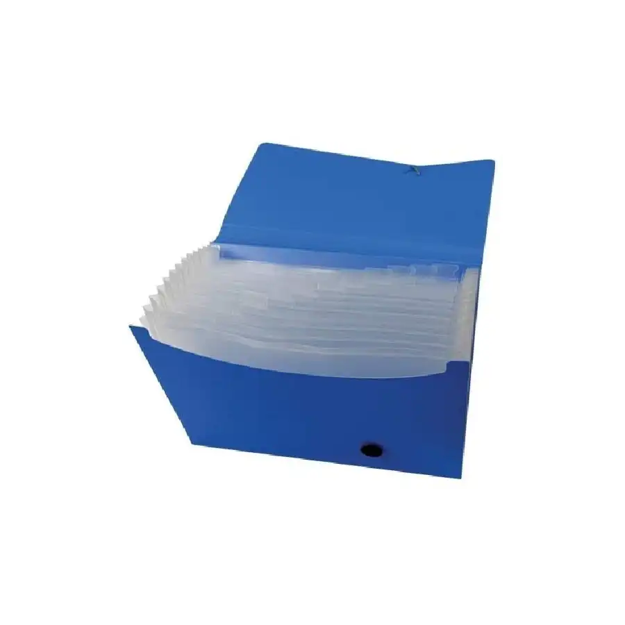 Cartella Portadocumenti 13 Tasche Blu A4 210x297mm Dorso 2.8 01NIK089 NikOffice - 1
