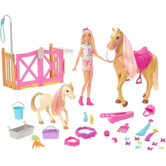 Barbie Playset Il Ranch GXV77 Mattel - 3